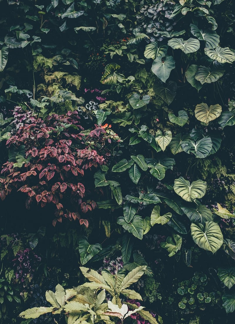 Botanical Design